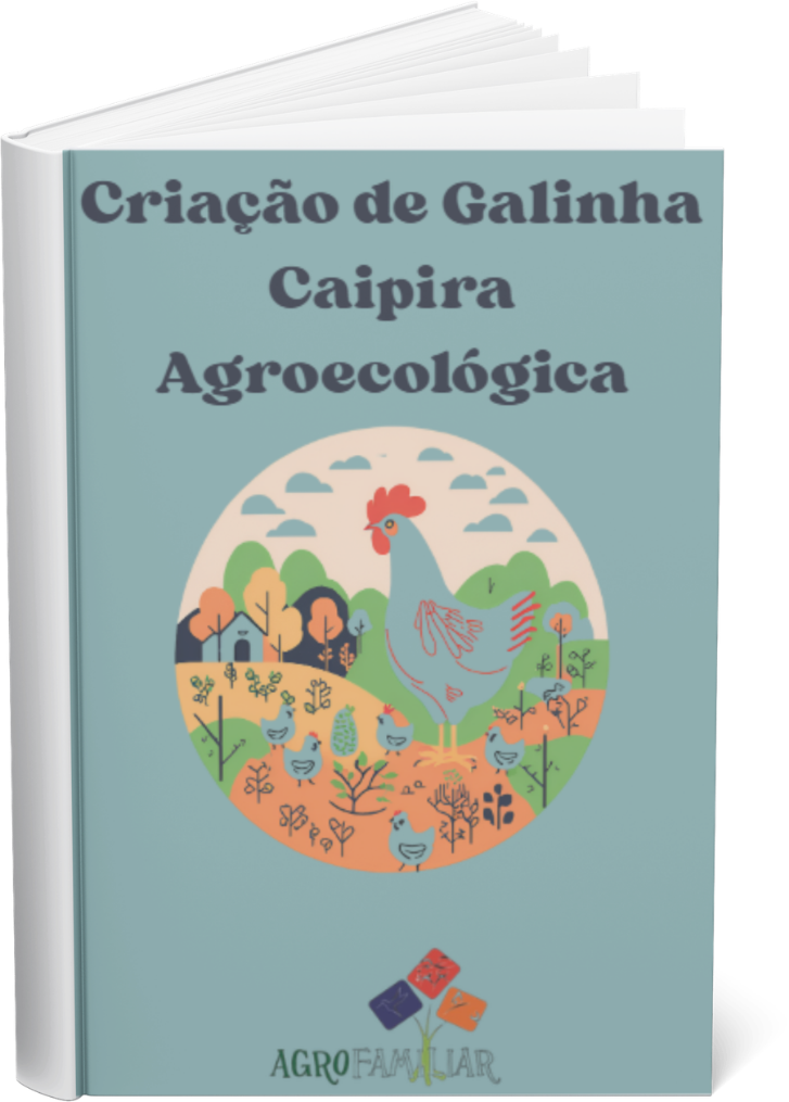imagem da capa