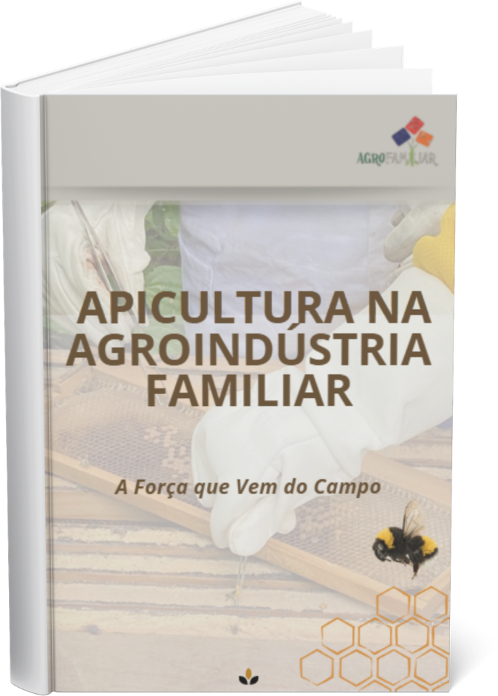 imagrm da capa