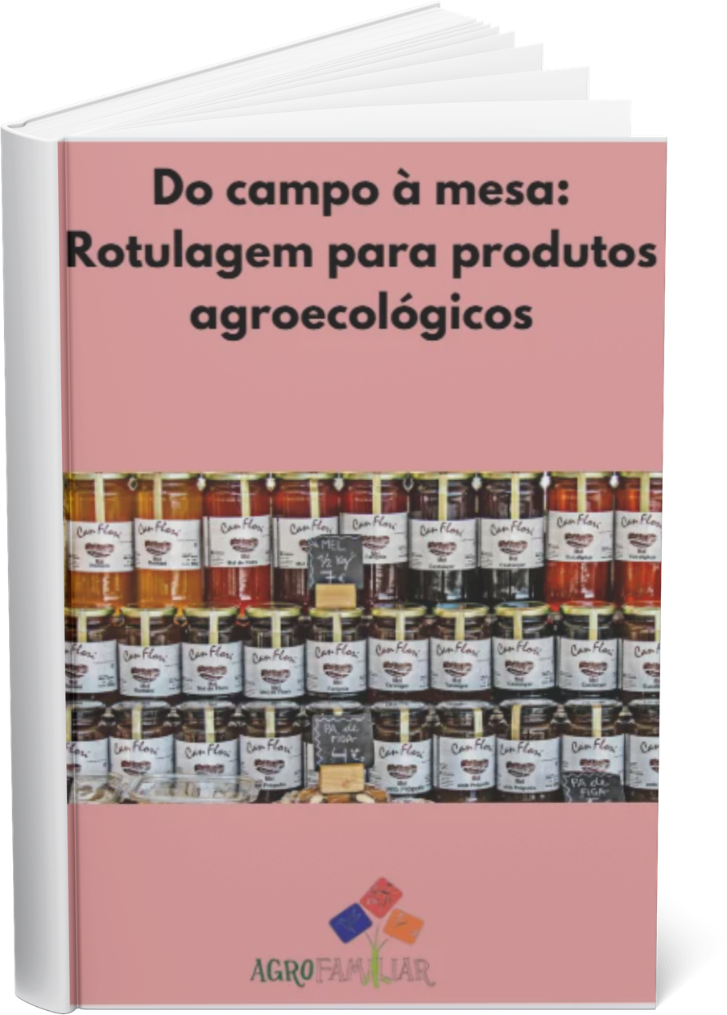 imagem da capa